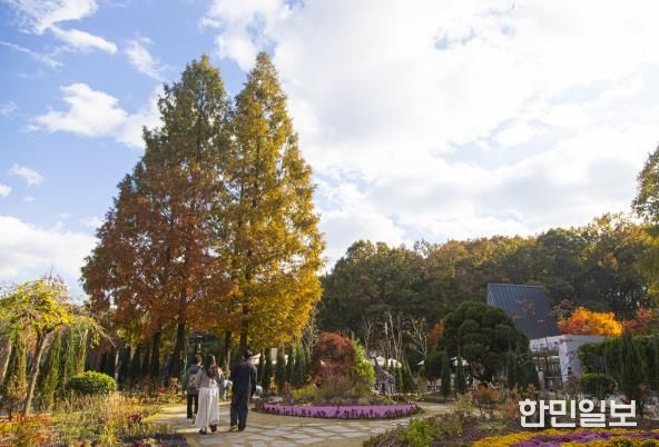 무릉도원수목원