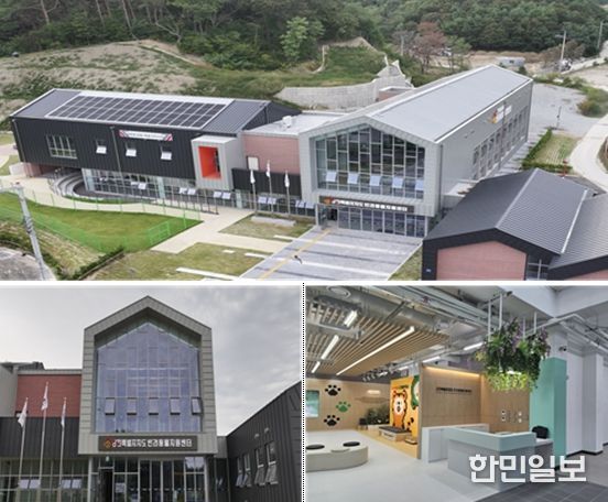 강원특별자치도 반려동물지원센터 현장사진