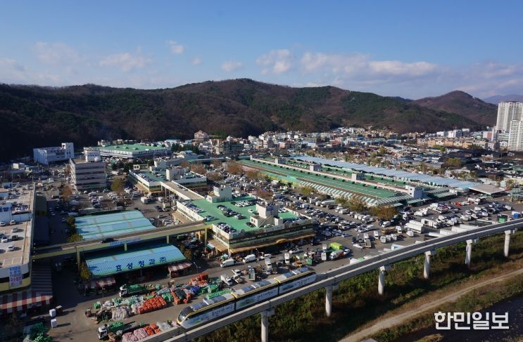 대구농수산물도매시장