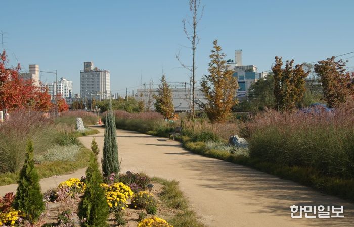 청주시 오송물결정원, 주민 손길 더해 가을정원으로 변신