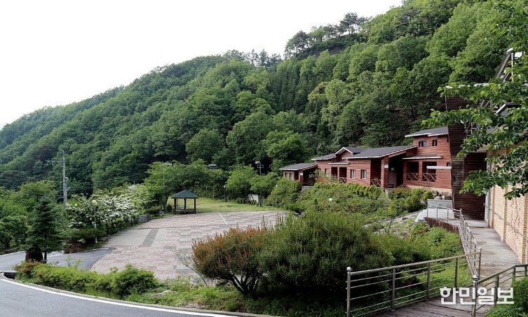 영동군 민주지산자연휴양림, 새단장