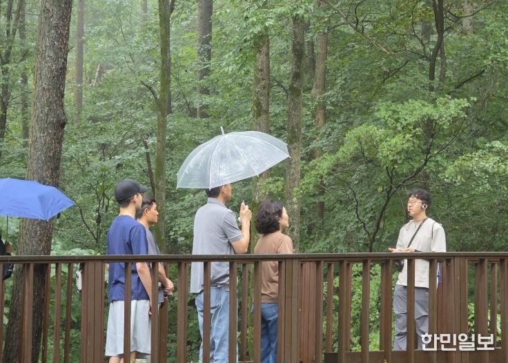 ‘산림치유 캠프’ 참가자 모집