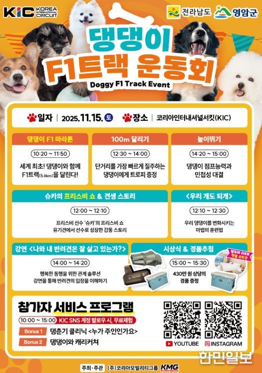 댕댕이 F1트랙 운동회 카드뉴스