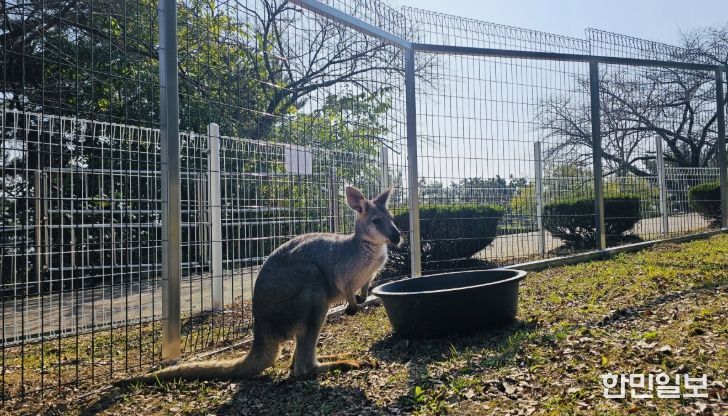 진주시 진양호동물원