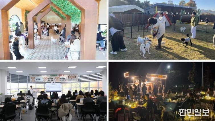 임실군, 유기 동물과 1박 2일 캠핑 통해 반려 문화 활성화