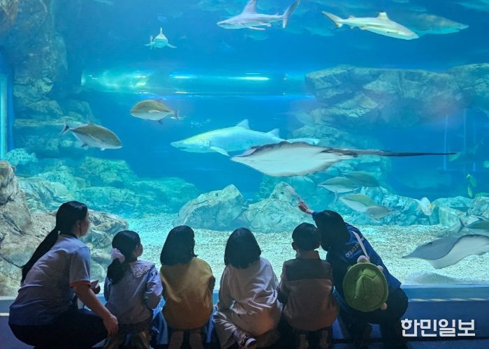 “하루에 바다를 다 체험할지니”수원 E:음 거점형 늘봄센터, 아쿠아플라넷 광교에서 해양생태 탐구 체험 운영