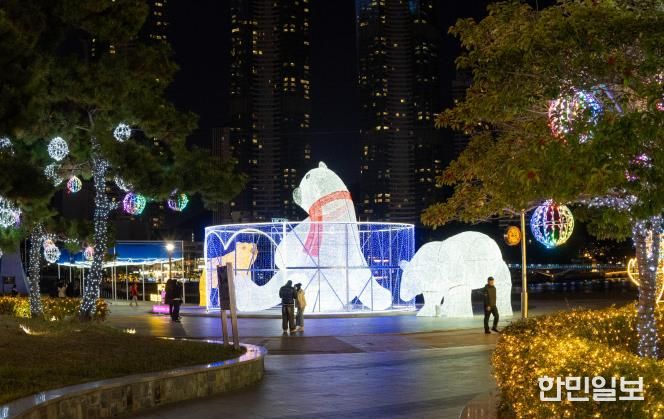 부산 서구 ‘희망의 빛거리’ 14일 점등식