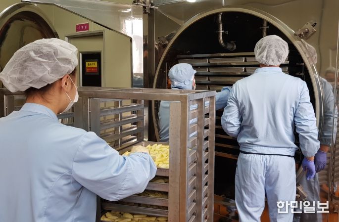 농산물종합가공센터 동결건조작업