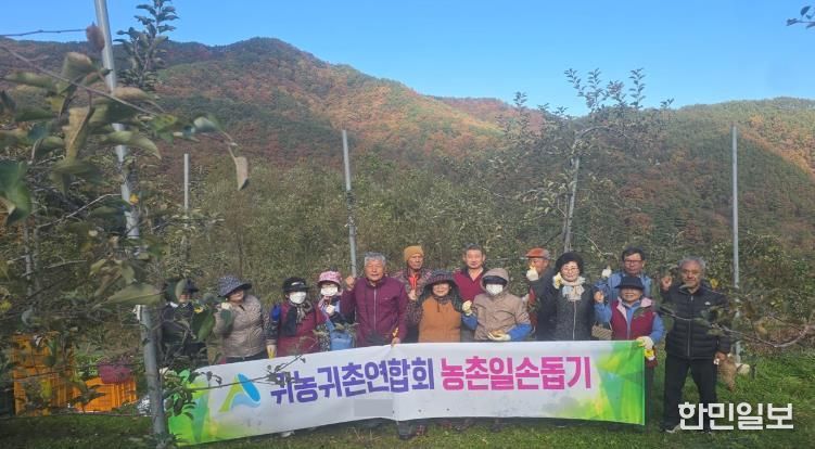 거창군 귀농귀촌인연합회, 사과 수확 일손돕기 봉사활동 펼쳐
