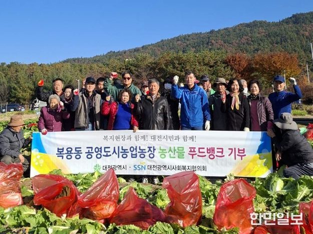 “올해는 드림텃밭에 배추와 무가 자랐어요”