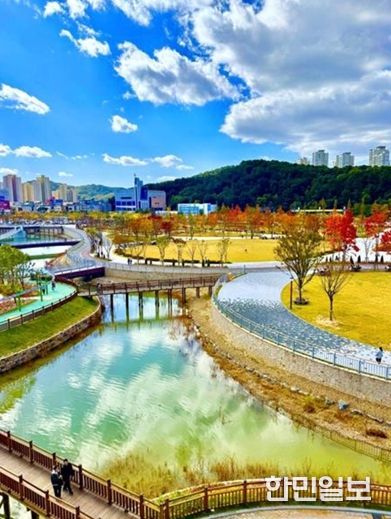 단풍따라 대전 한 바퀴… 어디를 가도 인생샷 명소