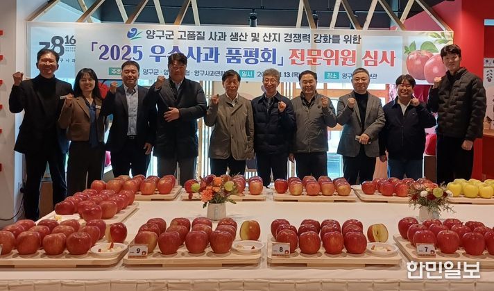 양구 우수 사과 품평회, 이성일 씨 2년 연속 대상 영예