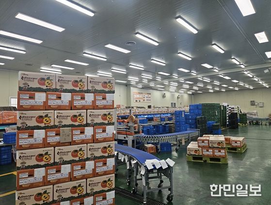 김해시 진영단감, 농수산물 온라인도매시장 특화상품 선정