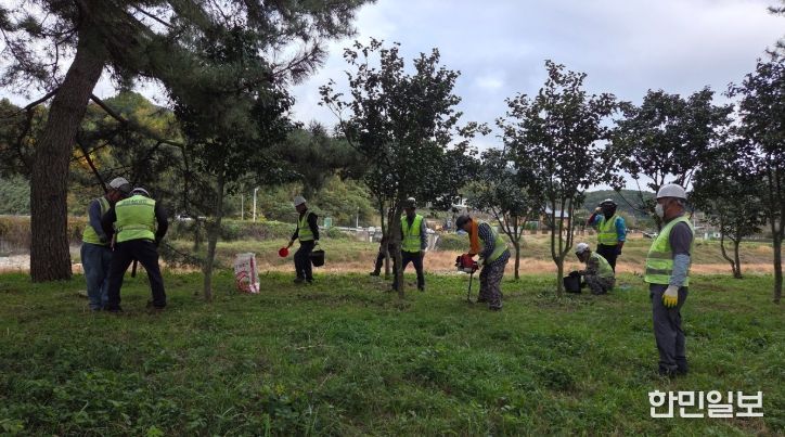 광양시, 가로수 종합 정비