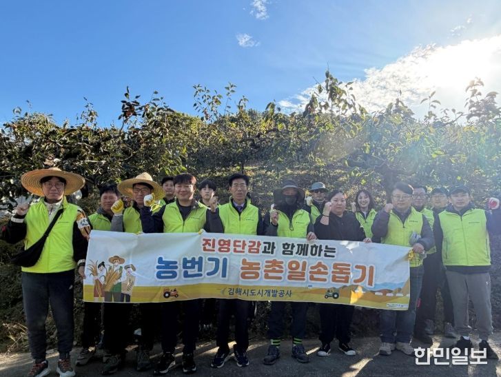 지역특산물 ‘진영단감’ 수확 지원