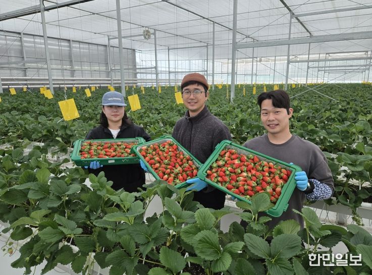 남상주농협, 금실 품종 첫 선적, K(케이)-딸기 글로벌 경쟁력 강화