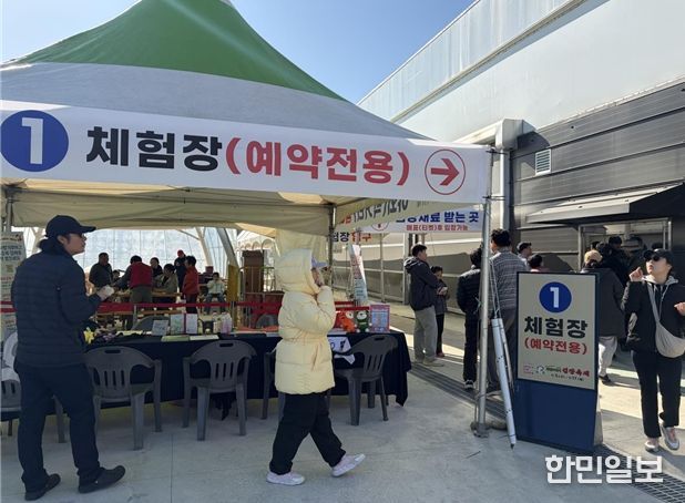 강원관광재단, 평창 김장 축제서 글로벌 미식 관광 홍보