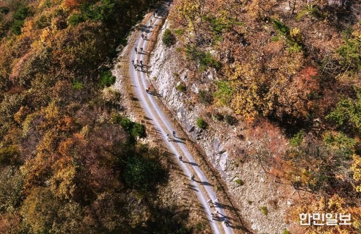 남해군, ‘2025년 보물숲 등반대회’ 성료