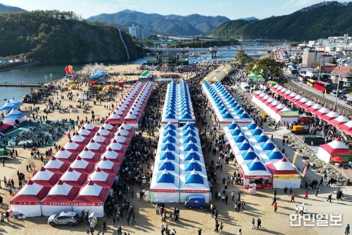 제19회 청송사과축제