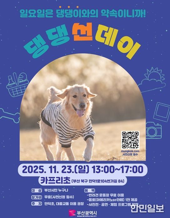 댕댕 Sunday(반려동물 오픈 피크닉)