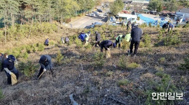 18일 안산시 백운공원에서 열린 비료시비 행사에서 참여자들이 고형복합비료 시비 활동을 진행하고 있다.