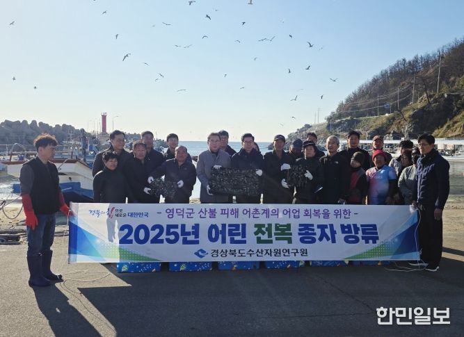 어린 전복 15만 마리 방류
