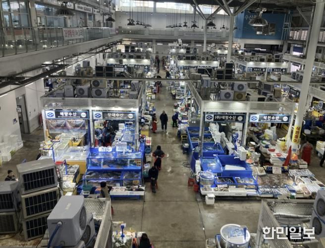 수원시농수산물도매시장 수산동 전경