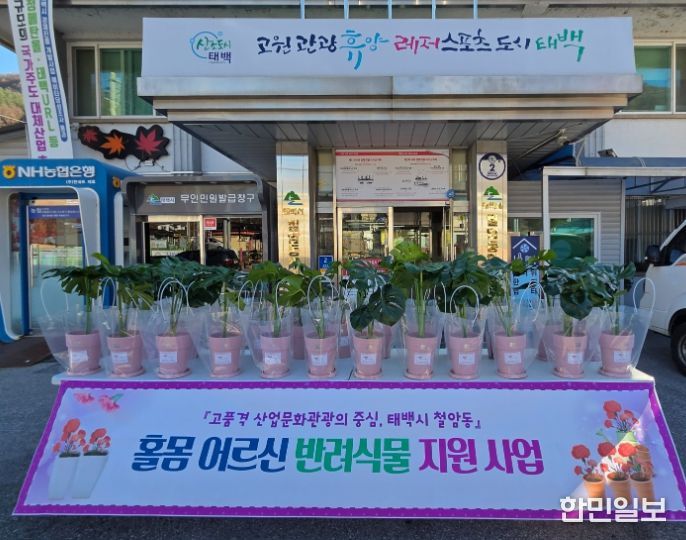 반려식물 지원사업 사진전시회