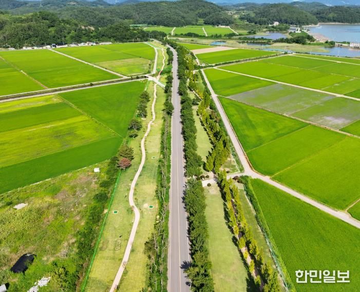 진교 파크골프장