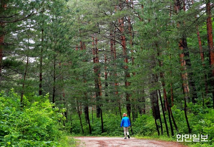 단풍길을 걷고 바다 미식즐기는 울진여행