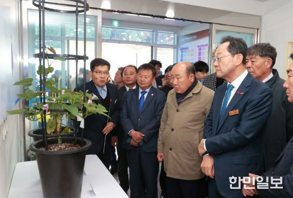 해남군, 고구마연구센터 개소“해남고구마 명성 지킨다”