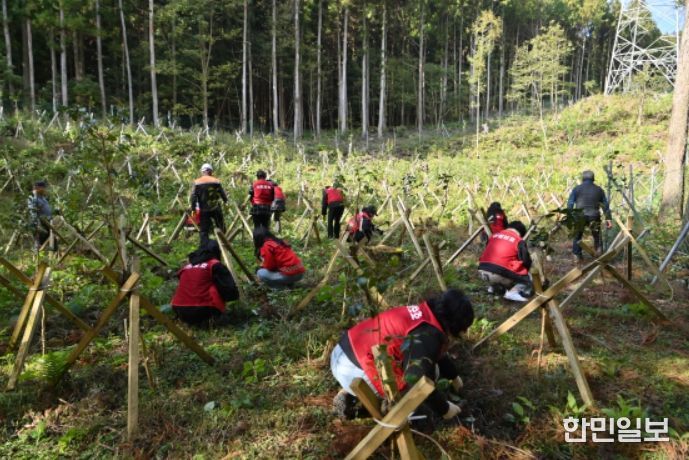 2025년 숲가꾸기 기간 체험 및 사랑의 땔감 나누기 행사