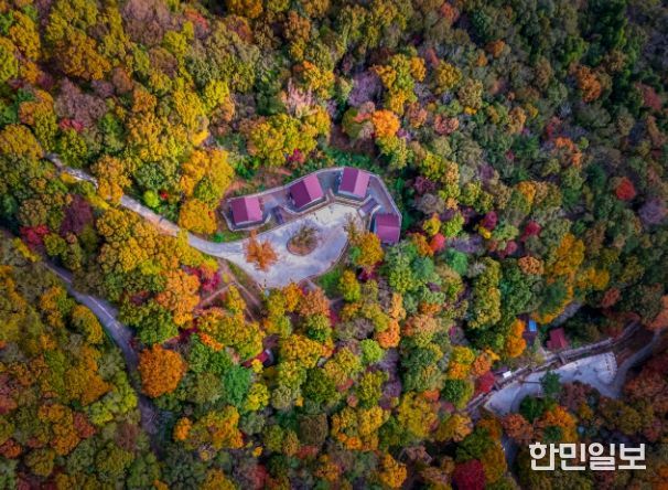 거제자연휴양림 전경