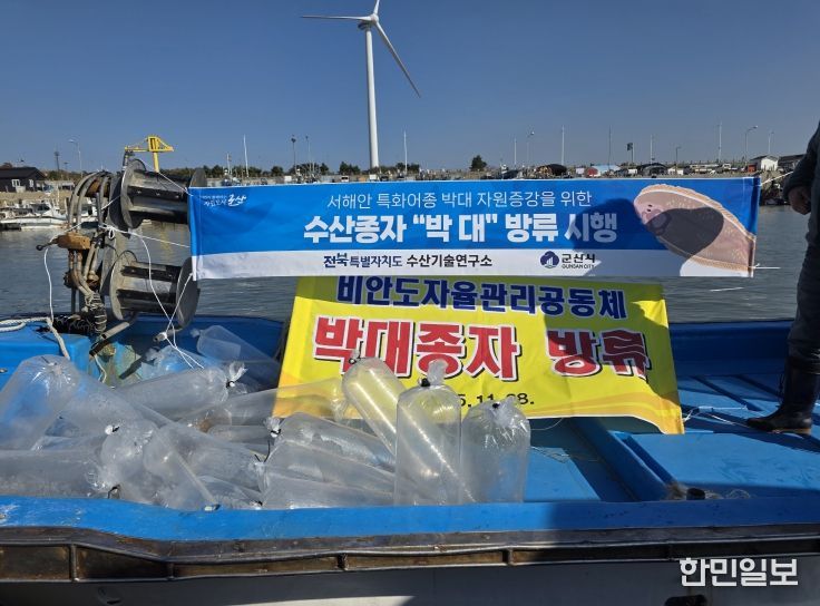 전북자치도, 어린 박대 10만 마리 무상방류