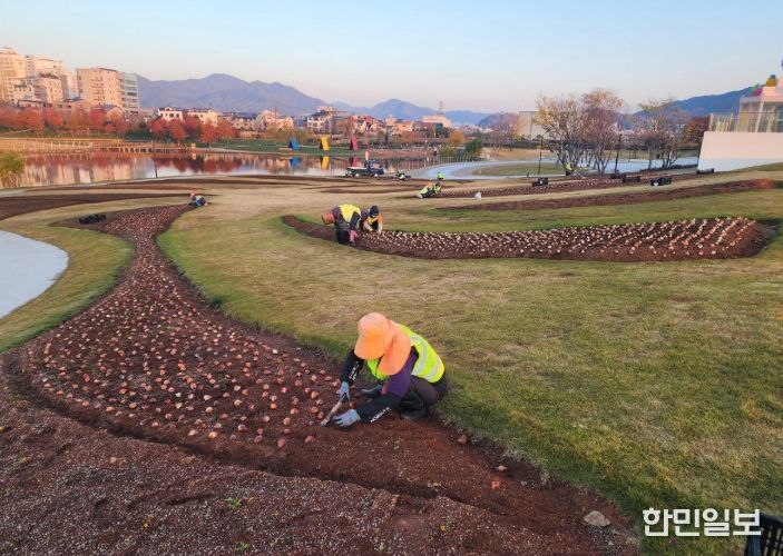 순천시 오천그린광장, 2026년 봄꽃 7만본 식재
