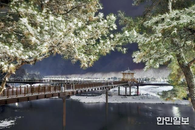 첫눈 내려 드러난 괴산 에코브릿지의 겨울 밤빛