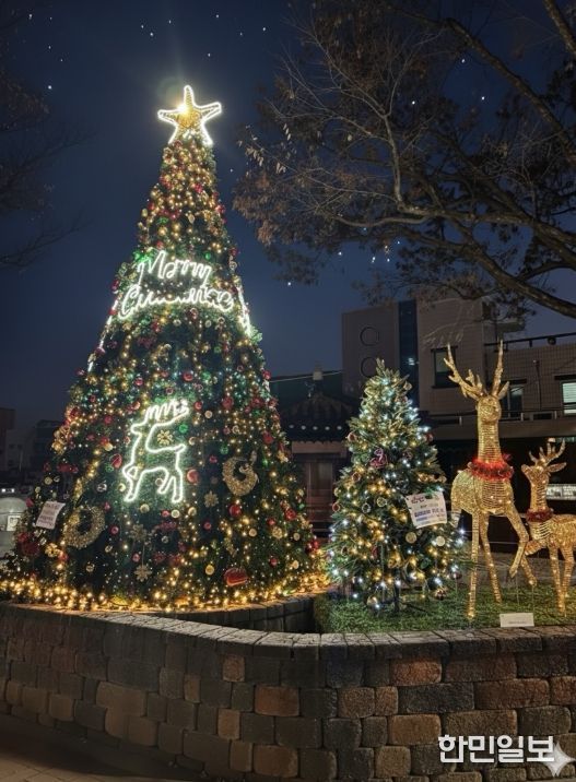 금산군 우체국사거리 연말연시 트리