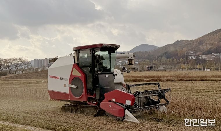 임실군, 논콩 수확 농작업 대행…전량 완료