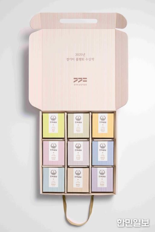 한해결실 패키지