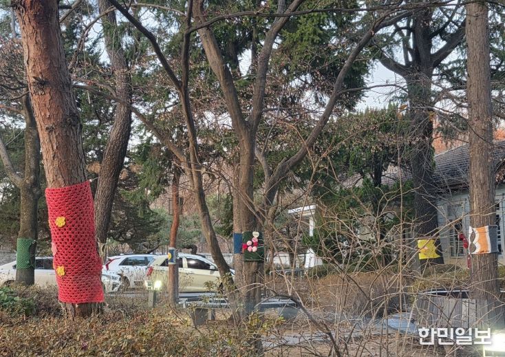 미동산수목원,'나무털옷 전시', 청주 도심 문화공간으로 확장