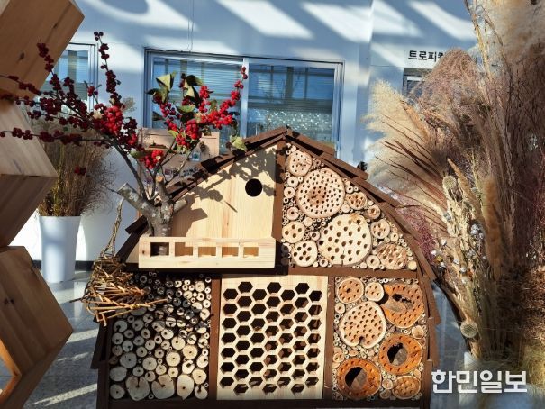 산림부산물 활용 전시 '자연의 순환, 생명을 잇다'(곤충호텔)