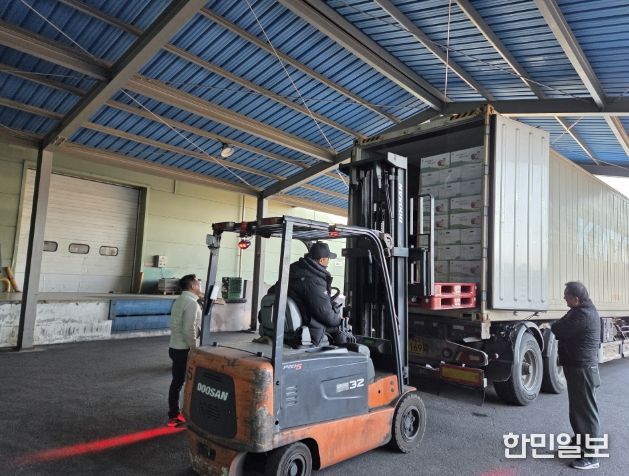 영주 사과 11톤, 싱가포르 수출길 올라