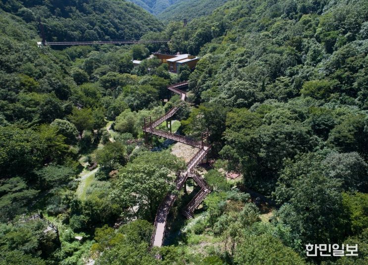 금산산림문화타운