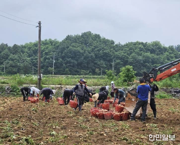 충주시, 2025년 외국인 계절근로자 사업 성료