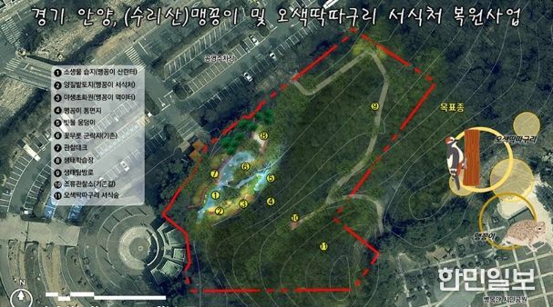 안양시, 병목안시민공원 맹꽁이・오색딱따구리 서식처 복원…국비 4.4억 확보