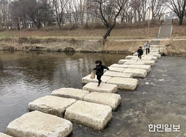 성남시 분당구 구미동 성남물빛공원~무지개마을 잇는 탄천 징검다리