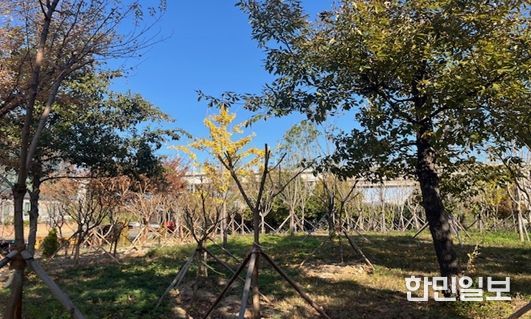 2025년 신일반산단 기후대응 도시숲 조성사진