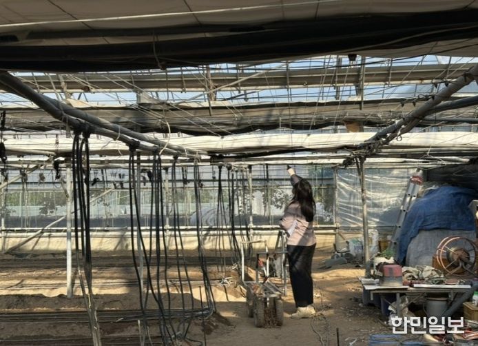 겨울철 화재 예방 대비 시설하우스 점검 실시