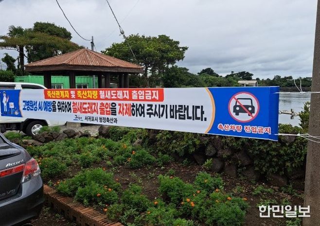 고병원성 조류인플루엔자 유입 차단 총력 대응