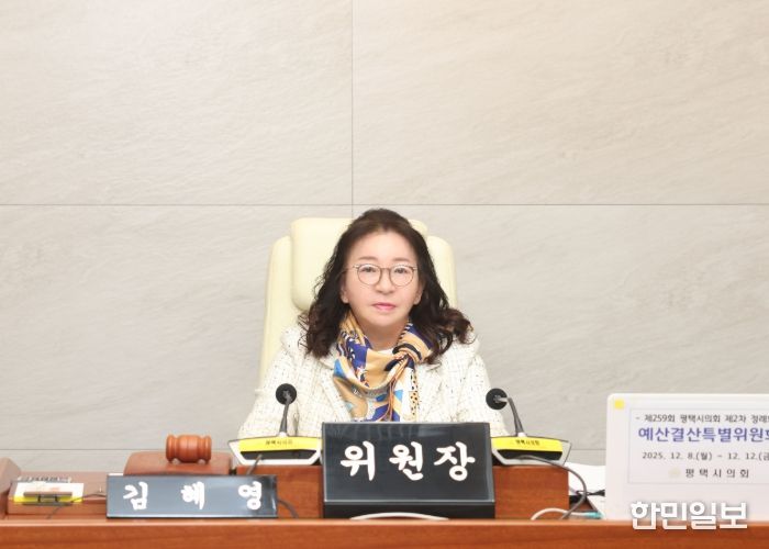 김혜영 예산결산특별위원장